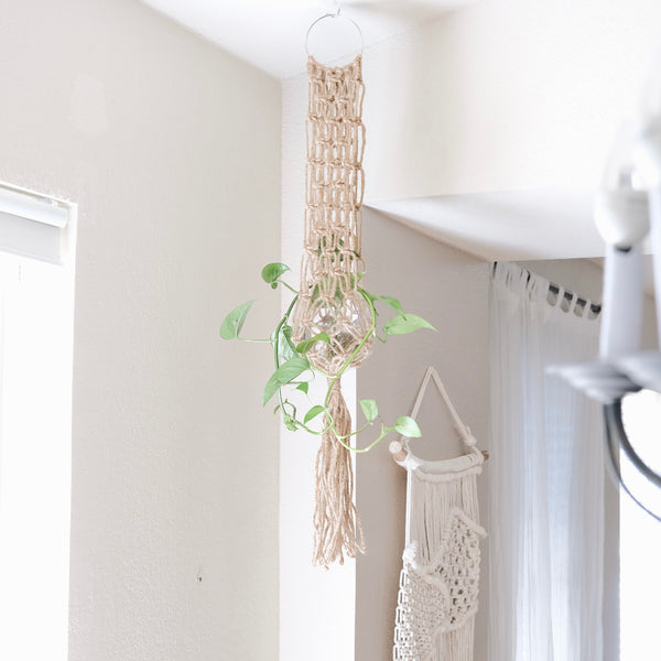 All About the Jean Plant Hanger