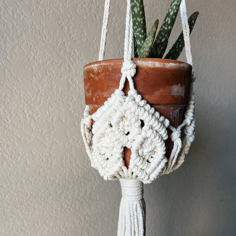 bohemian hanging planter hung with a terra cotta pot and small aloe vera plant