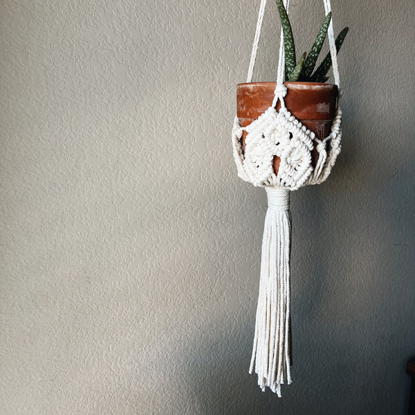 boho hanging planter hung near window with long and thick fringe at the bottom