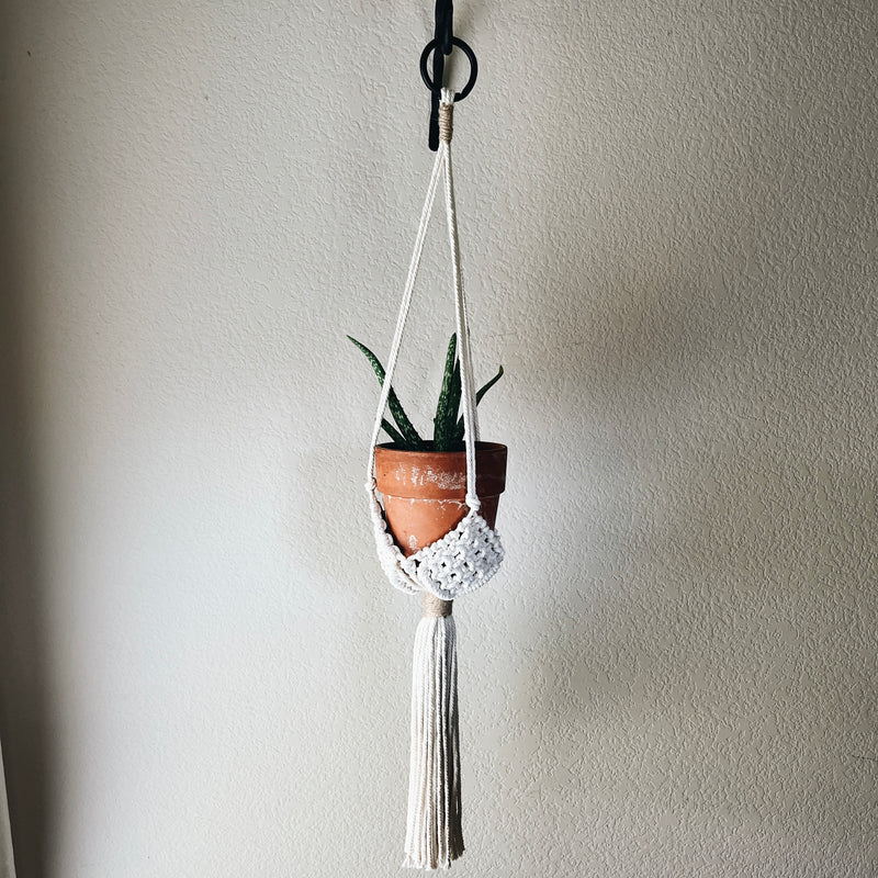 cotton plant hanger Macramé Plant Hanger No. 3