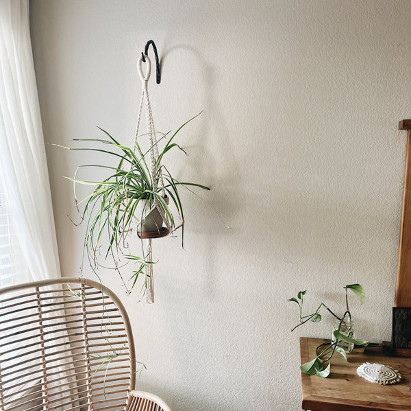 window hanger for plants Macrame Plant Hanger | Decorative Plant Hanger