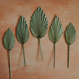 Authentic Palm Spears-Fringe-and-free.com