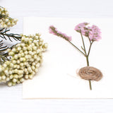 Statice Pressed Flower Greeting Card