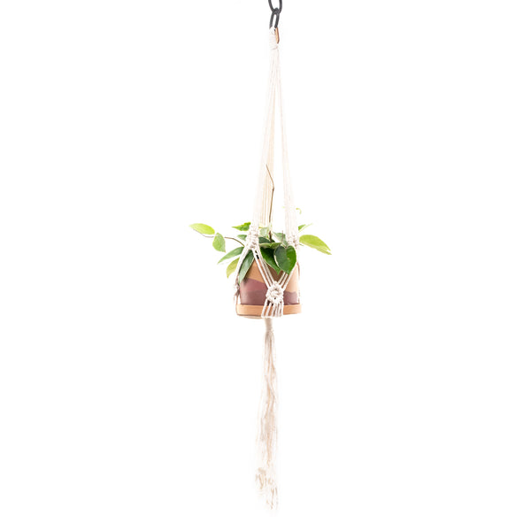 minimal plant hanger Minimal Sarah Macrame Plant Hanger – Fringe & Free
