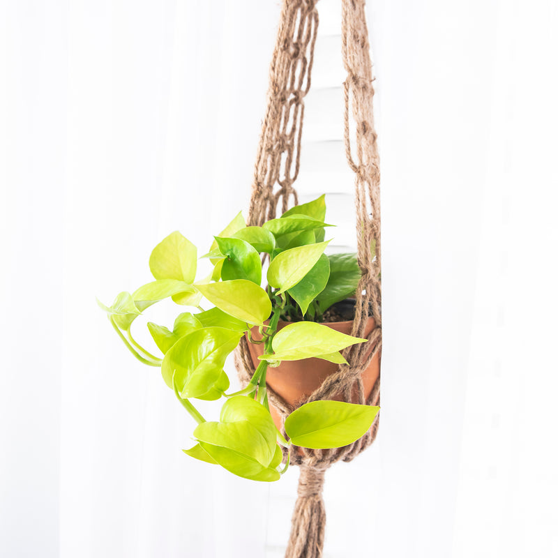 macrame plant hanger with jute Macramé Plant Hanger No. 1 – Fringe & Free
