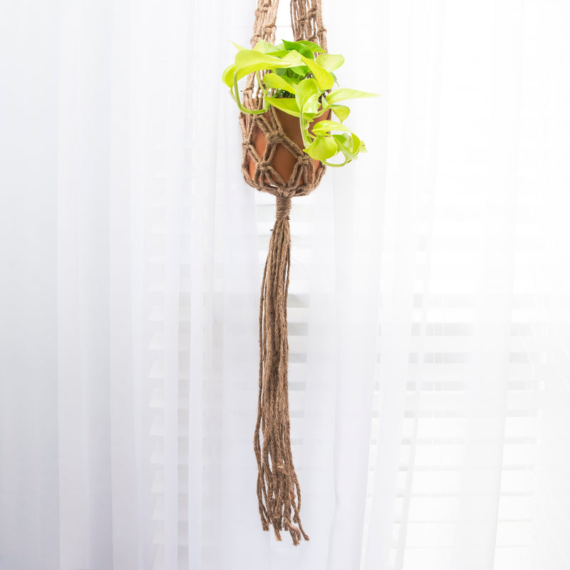 fringe macrame plant hanger Macramé Plant Hanger No. 1
