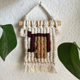 Pesach gift hung on wall behind a vining plant