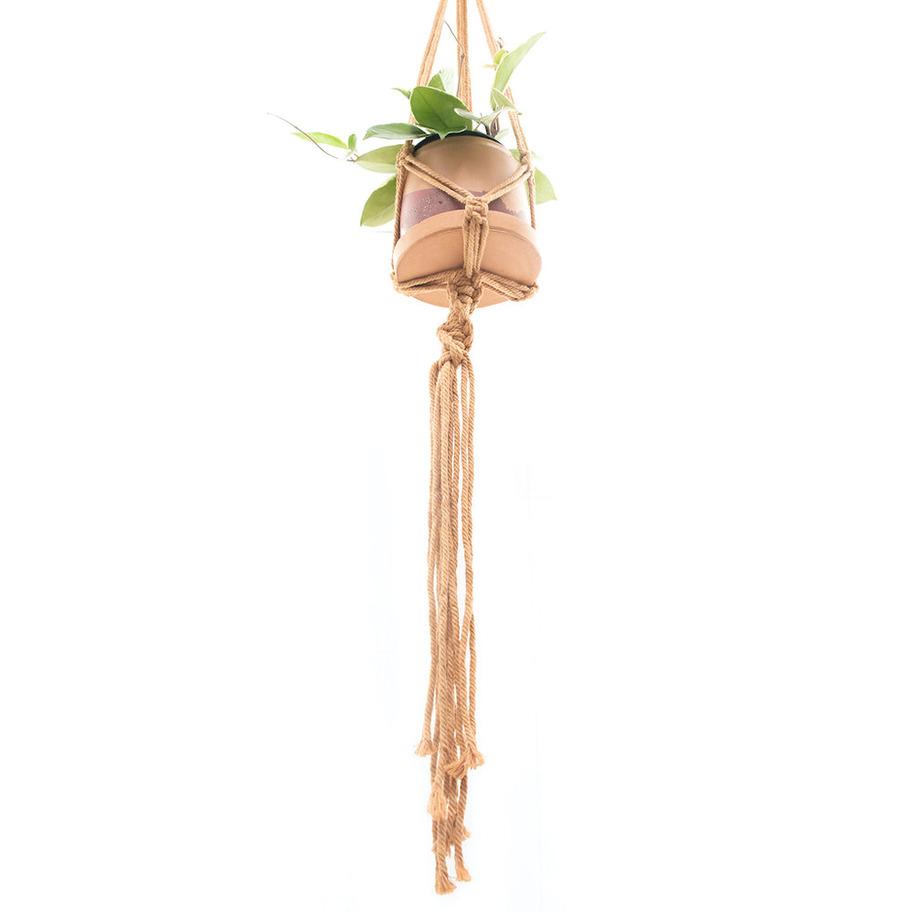 plant hanger for bathroom Eve Macramé Plant Hanger – Fringe & Free