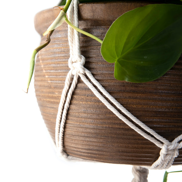 macrame plant hanger square pot Mini Macrame Plant Hanger | Mini Plant Hanger