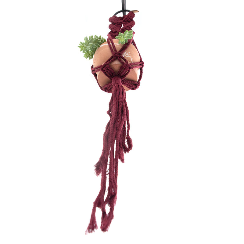 red macrame plant hanger Marie Macramé Plant Hanger – Fringe & Free