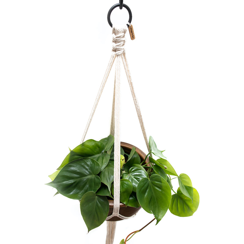macrame plant hanger mini Mini Macrame Plant Hanger | Mini Plant Hanger