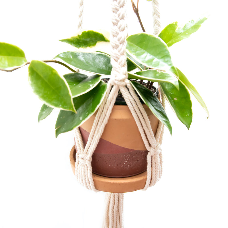 fringe macrame plant hanger Macrame Plant Hanger | Decorative Plant Hanger