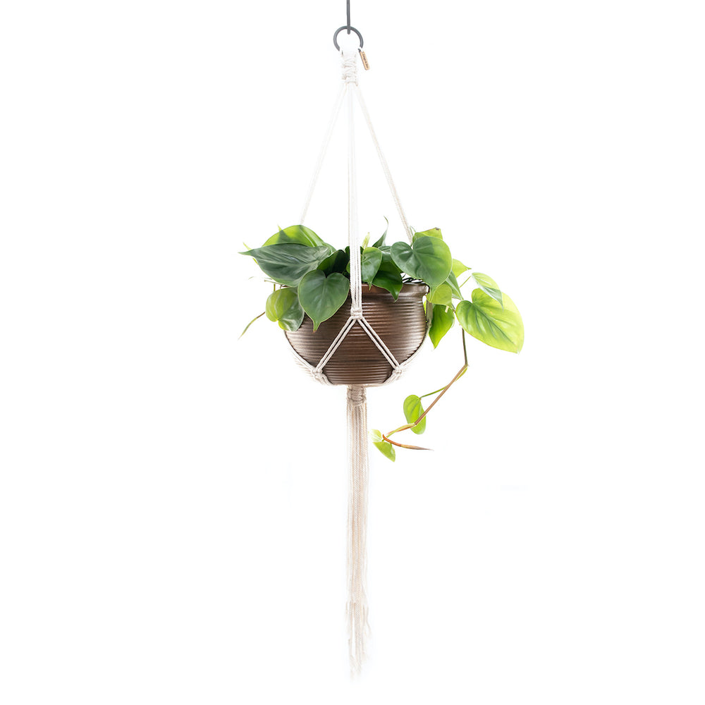 minimal plant hanger Mini Macrame Plant Hanger | Mini Plant Hanger