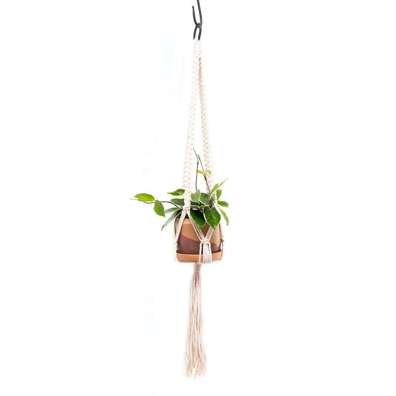 fringe plant hanger Macrame Plant Hanger | Decorative Plant Hanger