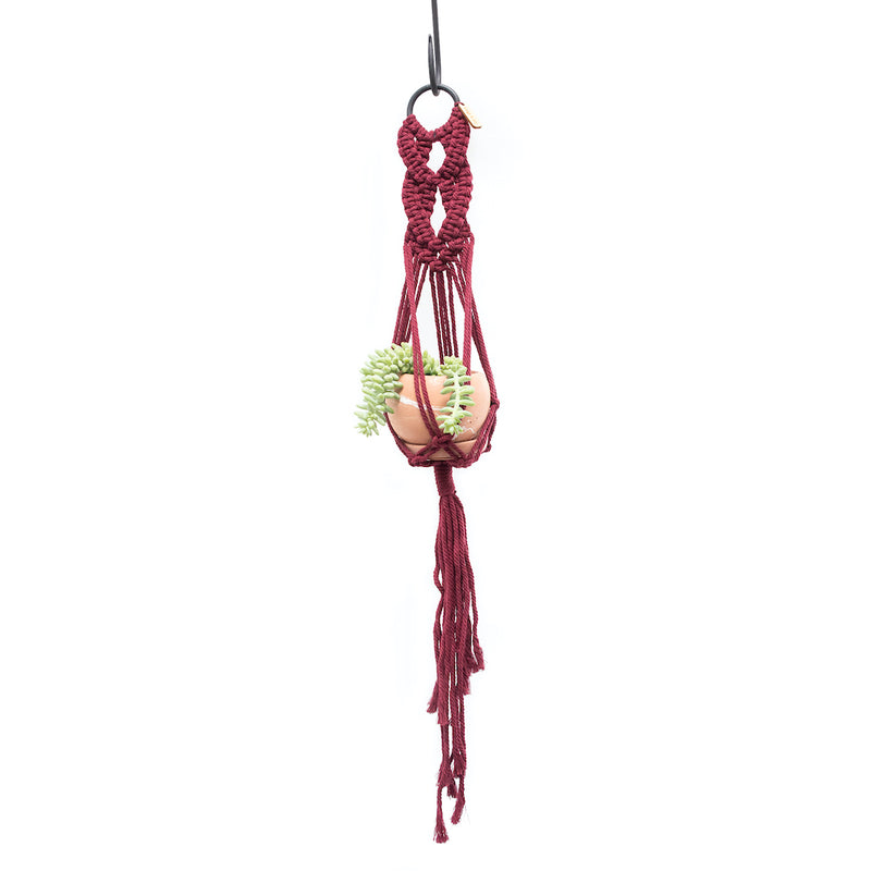 red macrame plant hanger Marie Macramé Plant Hanger – Fringe & Free